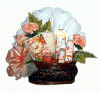 Orange Blossom Special