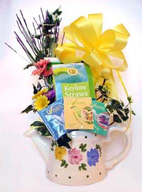 Tea Time Watering Can